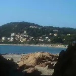 A Stones Throw Away From Foximannana In The Foreground -