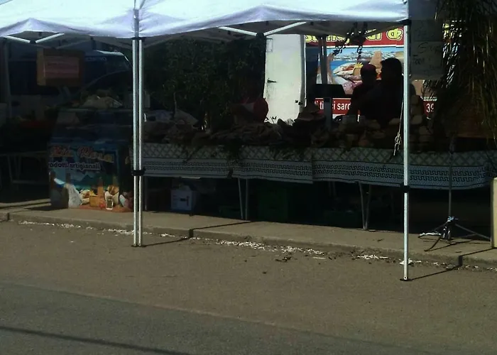 Lejlighed A Stones Throw Away From Foximannana In The Foreground - *